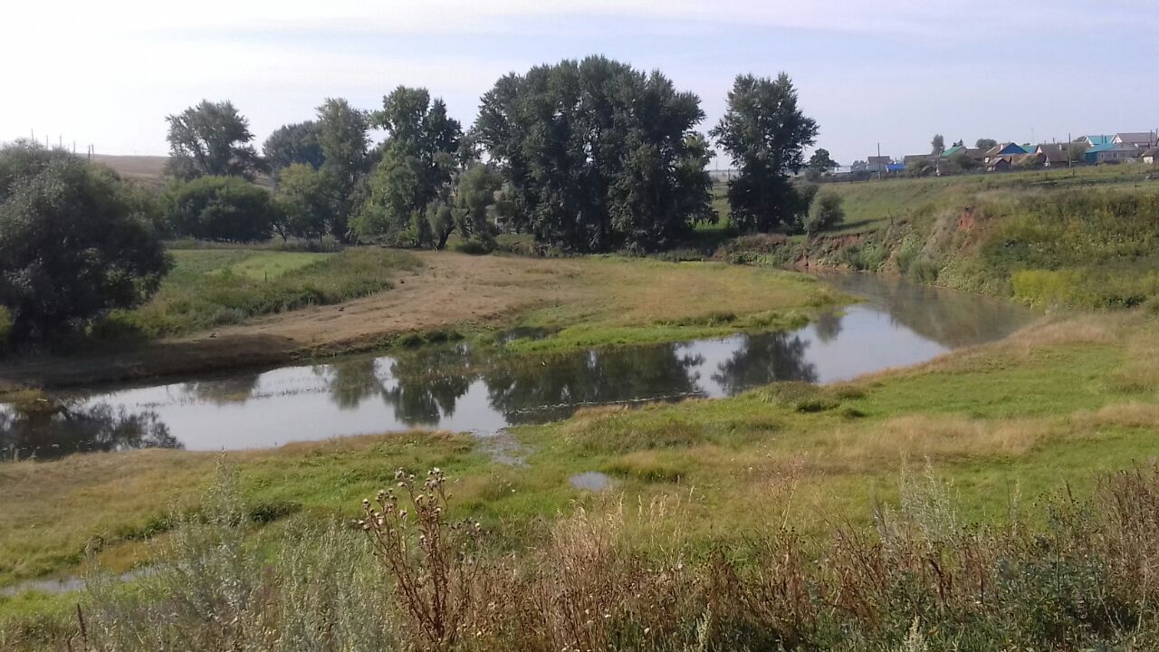 Пруд внутри села Нижняя Каменка